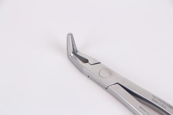 Fragment Forceps L